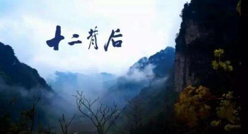 行业保费增速创四年来新高!人身险反超财产险,强势归来靠什么?